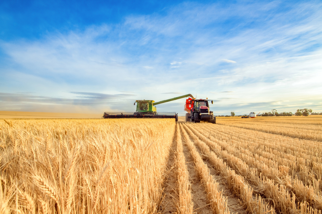 «Сельское хозяйство превращается в приоритетное направление российской специализации на международной арене»
